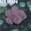 (S) Décoration Violette Laine Feutrée Pour DIY 4