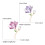 Charmante épingles en forme de fleur, lot de 3 broches en 3