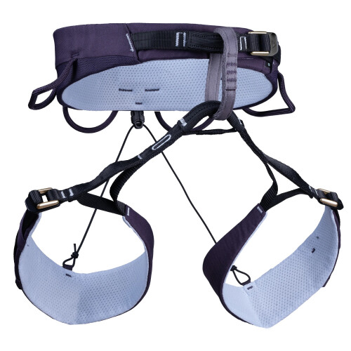 (Small) Blue Ice Women's Vista Adjustable Harness 1