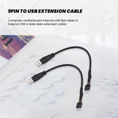2Pcs 20cm 9 Pin Male to External USB a Male PC Mainboard Internal Data Extension Cable 2