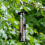 Hanging bird feeder 2