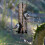 Hanging bird feeder 5