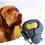 (Black) Illuminated Double Retractable Leash for Two Dogs, 360 Anti-Tangle Swivel Strap 5