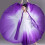 Women's Lyrical Dance Skirt-Gradient or 720 degrees 95 long 5