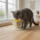 Conception de léchage, plat de nourriture pour animaux de-Bleu 6