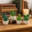 Statues de cactus de bureau en résine, lot de 4 modèles de 6