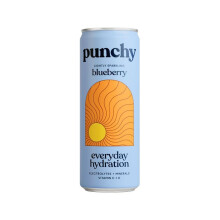 {AISLE O} Punchy | Hydration Drink - Blueberry | 1 x 330ml