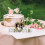 Βαρέως τύπου διαφανείς μουσαμάδες, διαφανής αδιάβροχος μουσαμάς με μεταλλικά 4