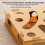 Stable Base Design Cats Toy Features Multiple Layer Track 5