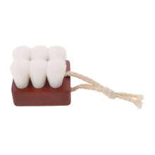 Beech Wood Facial Brush Soft Bristle Face Cleansing Brush for Home
