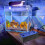 Per Acquario in PVC Per Uso Domestico E Ufficio 3