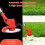 12V Cordless Grass Trimmer Strimmer 2 Battery 3