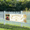 (Golden) Graduation season banner Supporting Flag Dormitory Decoration 3