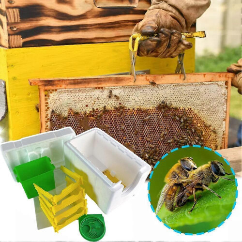 (A) Simple Beekeeping Bee Queen Breeding Mating Nuc Harvest Pollination Hive Box