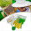(A) Simple Beekeeping Bee Queen Breeding Mating Nuc Harvest Pollination Hive Box 4