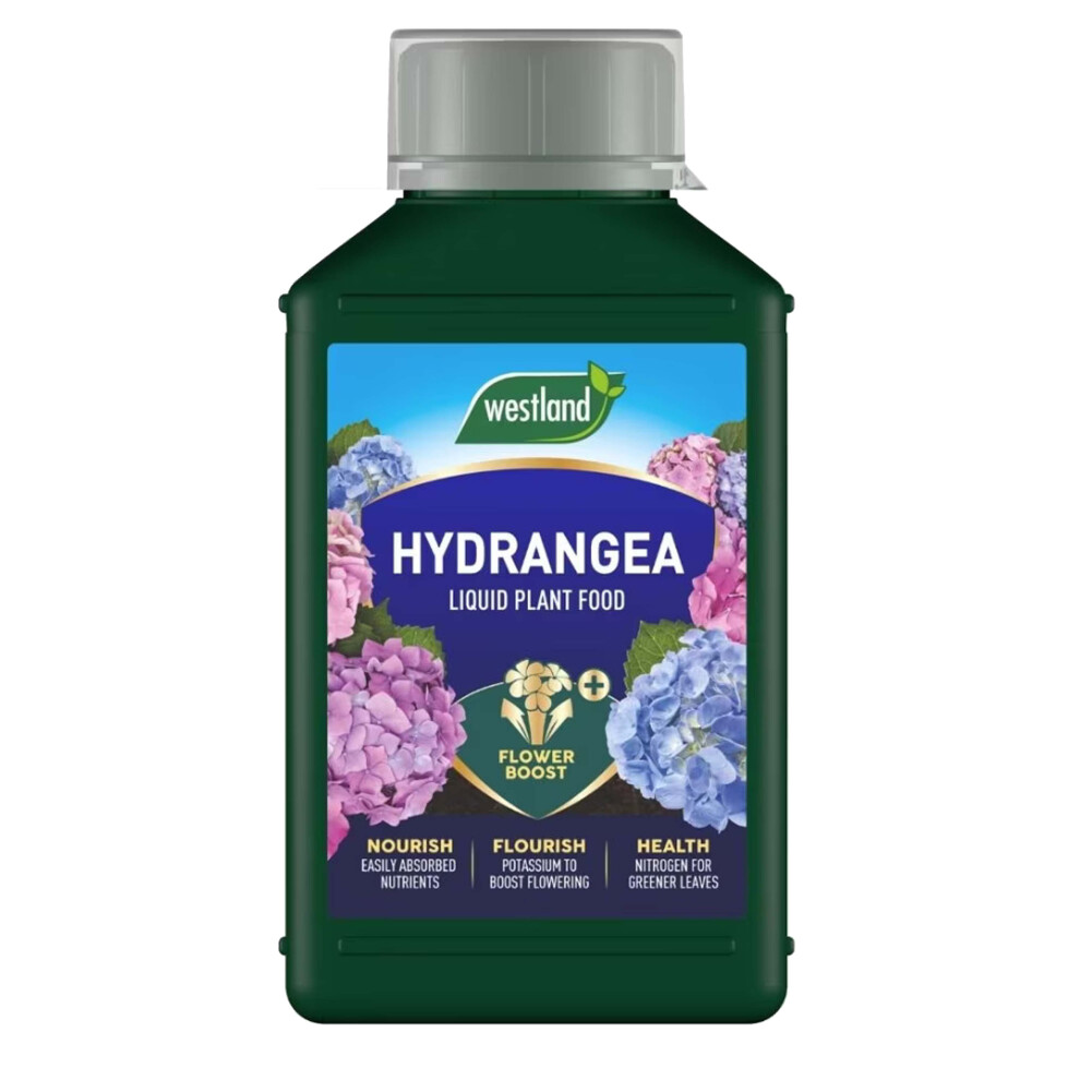 Westland Hydrangea Liquid Feed 1L Plant Booster