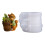 Eichhörnchen Pflanzer Silikonform Blumentopf Betonform Zemente 1