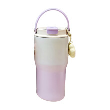 Elegant Gradient Color Vacuum Flasks With 304-Purple 600ml