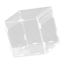 Helder acryl springspinnenterrarium voor-10X10X10 verticaal