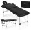 Aluminium 2-Section Foldable Massage Table with Bag 1