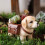 Hondvormige kruiden bloempot container Labrador ontwerp met 6