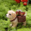 Pot de fleur en résine en forme d'animal du Labrador, conteneur 7