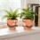 Pots en forme de main de prière avec visages amusants, Pots de 5