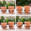 Pots en forme de main de prière avec visages amusants, Pots de 6