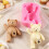 Silicone Bear Cake Molds For Baking Chocolate Candy Jellies With 7