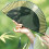 Delicate Hand Fan Folding Fan With Wide Shade for-gradient blue 5