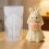Moules en Silicone en forme de mariée en forme de lapin, pour 4