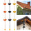 Decorative Rain Chain With flower Designed Cups Great-copper 3