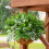 Artificial Plastic Leaves Bundles Weatherproof Plant for-8cap 2
