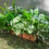Artificial Plastic Foliages For Patios And Garden-20cap 6