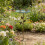 Weatherproof Wrought Iron Bird Bath With Broad Base Feeding 5