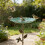 Weatherproof Wrought Iron Bird Bath With Broad Base Feeding 6