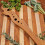 Practical Smooth Surfaces Wooden Vegetable Leaf Remover-2 3