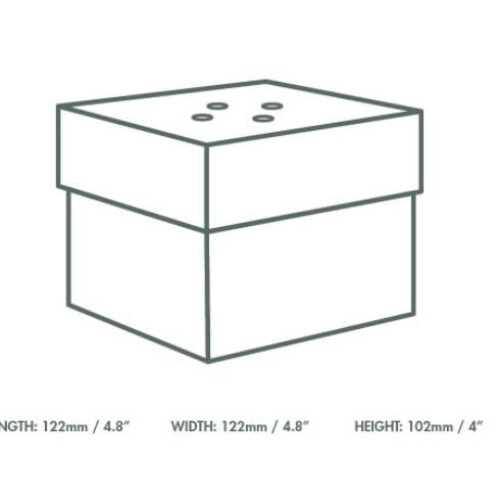 Vegware burger box 1