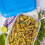 Addis Addis 228031 2 Litre Rectangular Food saver Container, Clear 5