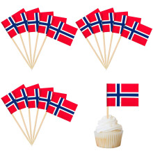 100Pcs Norway Toothpicks Flag,Toothpicks Cocktail Picks for European championship Party Decoration,Mini Norway Flags Toothpicks Sandwich Food Picks
