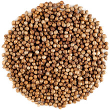 Coriander Seed Organic Gourmet Quality - Cilantro Seeds for Elevating Dishes 100g