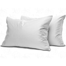 MistyMorning Pillow Cases 2 Pack Soft & Premium Quality Bedding & Linen, Egyptian Cotton 200 Thread Count, Breathable & Envelope Closure in Standard