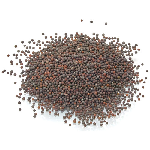 Old India Mustard Seeds Brown 500g 2