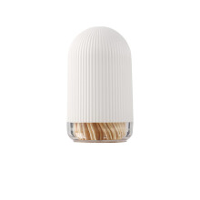 YidaSouko 300 Pcs Bamboo Cocktail Stick,Toothpick Box with Disposable Wood Toothpick Tooth Pick Holder Dust Proof Toothpick Dispenser for Kitchen