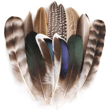 Muorruo 12 Pieces Natural Pheasant Feathers, Feathers in 6 Different Designs for DIY Crafts such as Hats, Floral Arrangements, Halloween, Carnival,