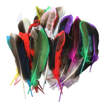 Vexquivera Pack of 50 Colourful Feathers for Crafts Feather for Crafts Craft Feathers Feathers for Hats Goose Feathers for DIY Dream Catcher Carnival
