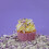 PME Out the Box Sprinkle Mix, Glam 5