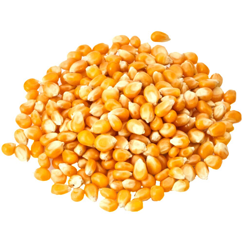 Old India Popping Corn 2Kg 2