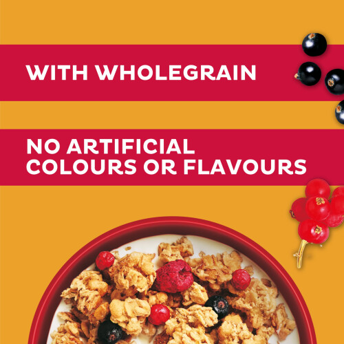 Kellogg's Crunchy Nut Red Berries Breakfast Granola 380g 1