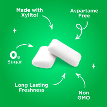 PUR Gum | Sugar Free Chewing Gum | Made with Xylitol | Vegan, Aspartame Free, Gluten Free & Keto Friendly | Natural Spearmint Flavoured Gum, 55 Pieces